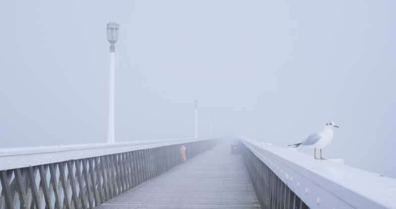 Pier (c) Steven Eastwood