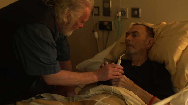 Roy (c) Steven Eastwood